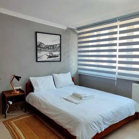 公寓 Chong Apartelle 2 伊斯坦布尔