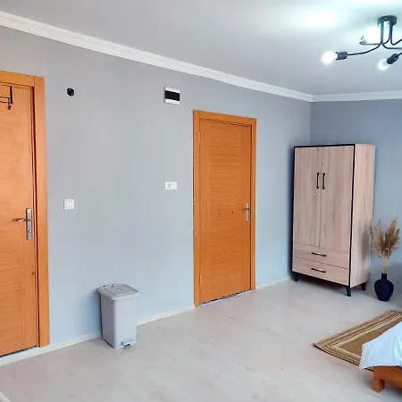 Chong Apartelle 2 公寓 伊斯坦布尔