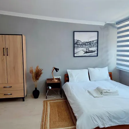 公寓 Chong Apartelle 2 伊斯坦布尔